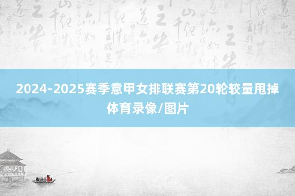 2024-2025赛季意甲女排联赛第20轮较量甩掉体育录像/图片