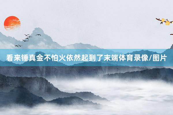 看来锤真金不怕火依然起到了末端体育录像/图片