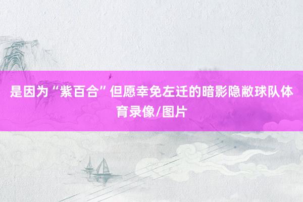 是因为“紫百合”但愿幸免左迁的暗影隐敝球队体育录像/图片