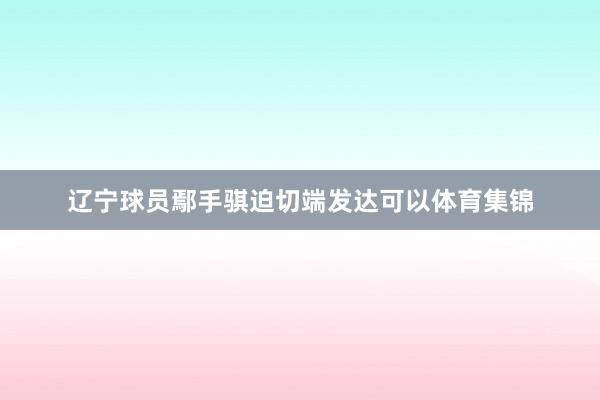 辽宁球员鄢手骐迫切端发达可以体育集锦